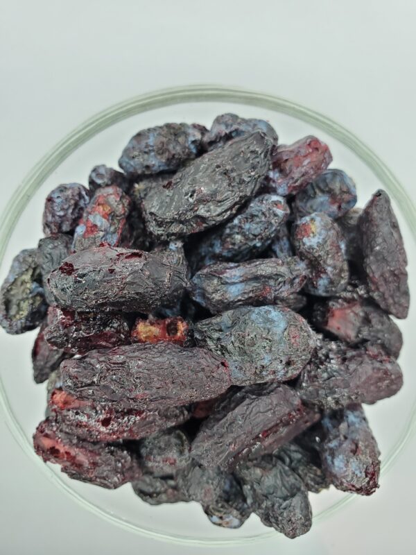 ASTRO FRUIT:  FREEZE-DRIED HASKAP BERRIES
