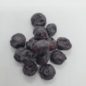 ASTRO FRUIT:  FREEZE-DRIED BLUEBERRIES